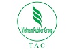 Gỗ Thuận An ngày 14/5 giao dịch không hưởng quyền trả cổ tức 10% tiền mặt